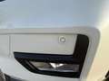 Nissan X-Trail Tekna 2.0 dCi Sitzbelüftung Vollleder Bianco - thumbnail 18