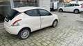 Lancia Ypsilon 1.2 Gold ecochic Gpl 69cv - thumbnail 4