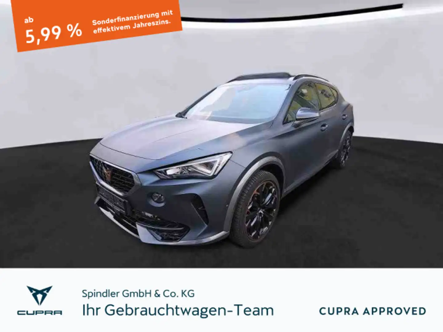 CUPRA Formentor VZ 2.0TSI 4Drive DSG/ Pano, Beats, AHK Grau - 1
