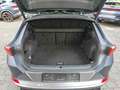 CUPRA Formentor VZ 2.0TSI 4Drive DSG/ Pano, Beats, AHK Grau - thumbnail 9