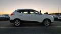 Hyundai iX35 ix35 1.7 CRDi 2WD Classic Bianco - thumbnail 10