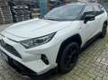Toyota RAV 4 Rav4  2.5 vvt-ie h Style awd-i 222cv e-cvt Bianco - thumbnail 5