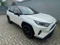 Toyota RAV 4 Rav4  2.5 vvt-ie h Style awd-i 222cv e-cvt Bianco - thumbnail 6