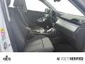 Audi Q3 35 TDI quattro S tronic S line S tronic+AHK+KAM... Blanc - thumbnail 8