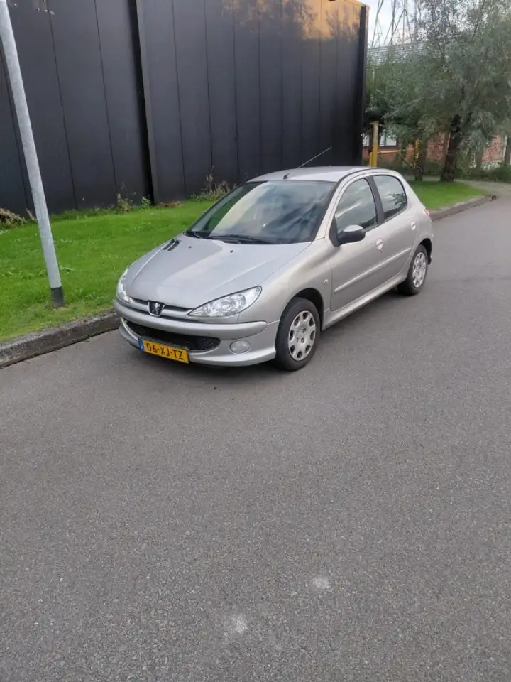 Peugeot 206 1.4 Forever — photo 1 of 11