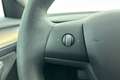 Tesla Model 3 Standard RWD Plus, Basic Autopilot, Panoramadak Grau - thumbnail 7