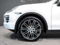 Porsche Cayenne Diesel 245 Aut. Blanco - thumbnail 6
