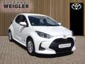 Toyota Yaris HEV Business Edition*Sitzheizung*Carplay* Weiß - thumbnail 2