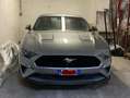 Ford Mustang Mustang Fastback 5.0 ti-vct V8 GT 450cv auto my20 Argento - thumbnail 3