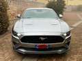 Ford Mustang Mustang Fastback 5.0 ti-vct V8 GT 450cv auto my20 Argento - thumbnail 1