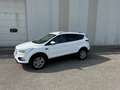 Ford Kuga 1.5 ecoboost 120 CV Bianco - thumbnail 2