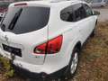 Nissan Qashqai+2 Qashqai+2 1,5 dCi Acenta 2WD DPF Acenta Weiß - thumbnail 3