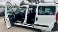 Fiat Doblo 1.3m jet95cv e6D -AUTOCARRO 5 POSTI -PREZZO REALE Weiß - thumbnail 4