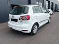 Volkswagen Golf Plus Rabbit BMT 1,2 TSI / AHK / SHZ Weiß - thumbnail 4
