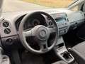 Volkswagen Golf Plus Rabbit BMT 1,2 TSI / AHK / SHZ Weiß - thumbnail 5
