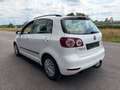 Volkswagen Golf Plus Rabbit BMT 1,2 TSI / AHK / SHZ Weiß - thumbnail 3