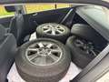 Volkswagen Golf Plus Rabbit BMT 1,2 TSI / AHK / SHZ Weiß - thumbnail 10