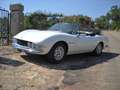 Fiat Dino 2000 spider Bianco - thumbnail 2