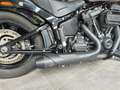 Harley-Davidson Street Bob Nero - thumbnail 6
