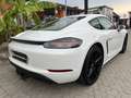 Porsche Cayman 718 Cayman III 2016 718 2.0 300cv pdk Bianco - thumbnail 5