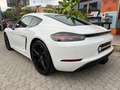 Porsche Cayman 718 Cayman III 2016 718 2.0 300cv pdk Bianco - thumbnail 4