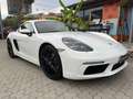 Porsche Cayman 718 Cayman III 2016 718 2.0 300cv pdk Bianco - thumbnail 2
