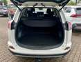 Toyota RAV 4 RAV 4 Hybrid Team D *LED*NAVI*PDC* Weiß - thumbnail 12