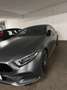 Mercedes-Benz CLS 350 CLS 350 d 4MATIC Aut. Silber - thumbnail 3