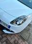 Alfa Romeo Giulietta Giulietta  1.6 jtdm Sport 120cv - thumbnail 15