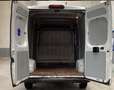 Fiat Ducato Fg. 35 3.0 Natural Power L2 H1 - thumbnail 10