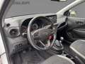 Hyundai i10 Select*5-Gang*Einparkhilfe*Sitzheizung*Lenkradheiz Wit - thumbnail 10