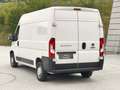 Fiat Ducato 2.3 130PS L2H2 RS: 3450 mm / 120 tkm / mwst.A. Weiß - thumbnail 11