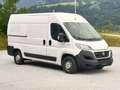 Fiat Ducato 2.3 130PS L2H2 RS: 3450 mm / 120 tkm / mwst.A. Weiß - thumbnail 5