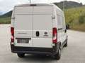 Fiat Ducato 2.3 130PS L2H2 RS: 3450 mm / 120 tkm / mwst.A. Weiß - thumbnail 9