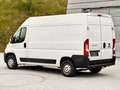 Fiat Ducato 2.3 130PS L2H2 RS: 3450 mm / 120 tkm / mwst.A. Weiß - thumbnail 12