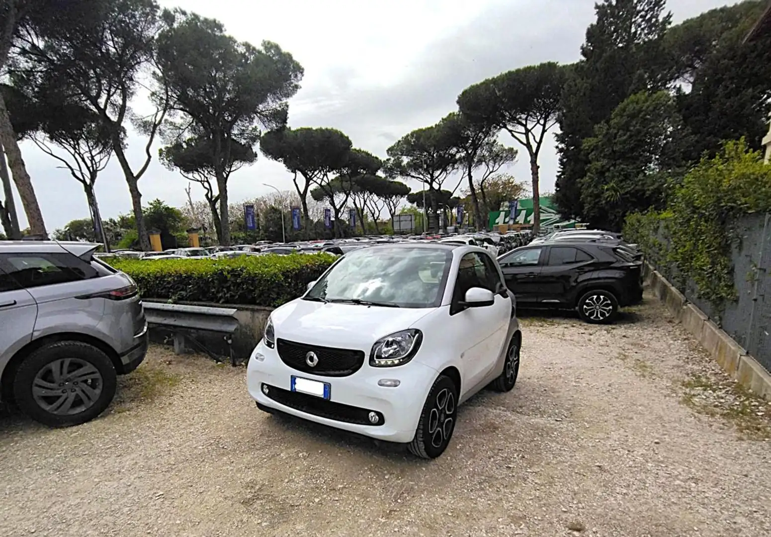 smart forTwo 1.0cc PASSION 71cv TETTO PANORAM CRUISECONTR Bianco - 1