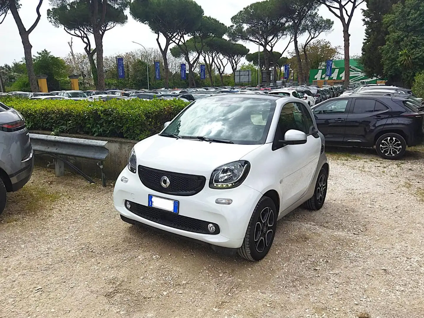 smart forTwo 1.0cc PASSION 71cv TETTO PANORAM CRUISECONTR Bianco - 2
