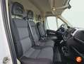 Fiat Ducato 35 L2H2 Nat.Pow100kW EU6 Dtemp GNC Blanc - thumbnail 14
