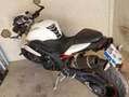 Triumph Speed Triple R Weiß - thumbnail 11