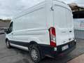 Ford Transit 350 L2H2 Trend 2.0 Eco MHEV 130 Bianco - thumbnail 3