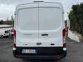 Ford Transit 350 L2H2 Trend 2.0 Eco MHEV 130 Bianco - thumbnail 7
