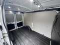 Ford Transit 350 L2H2 Trend 2.0 Eco MHEV 130 Bianco - thumbnail 14