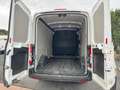 Ford Transit 350 L2H2 Trend 2.0 Eco MHEV 130 Bianco - thumbnail 13