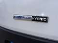 Ford Transit 350 L2H2 Trend 2.0 Eco MHEV 130 Blanc - thumbnail 20