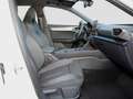SEAT Leon Sportstourer 2.0 TSI DSG VZ 19'ACC Full Link DA... Weiß - thumbnail 8