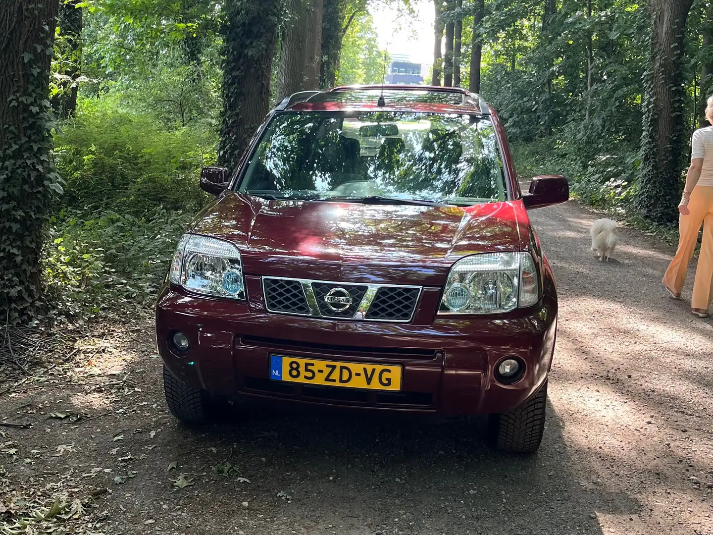 Nissan X-Trail X-Trail 2.5 Columbia Style type T30 Rood - 1