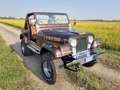 Jeep CJ-7 Laredo V8 Maro - thumbnail 3