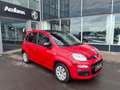 Fiat Panda 1,2 69 Young Rot - thumbnail 3
