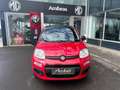 Fiat Panda 1,2 69 Young Rot - thumbnail 2
