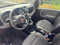 Fiat Panda 1,2 69 Young Rot - thumbnail 5